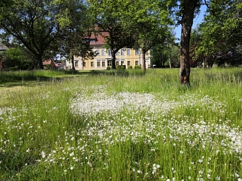 Kössern Jagdhaus Frühling