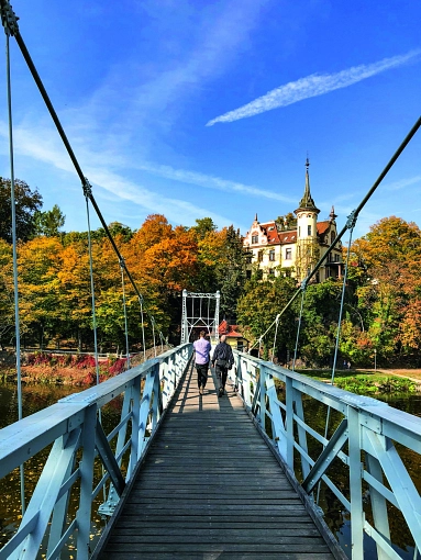 Hängebrücke Herbst