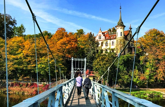 Hängebrücke Herbst