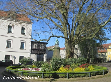 Plantane Frauenkirchhof © Rolf Hofmann